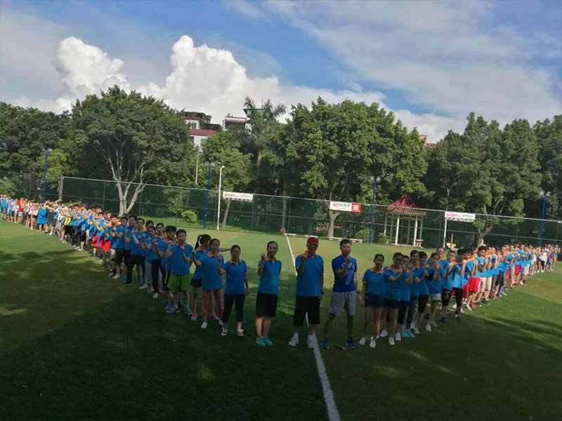 ZOODO photo1